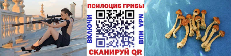 Галлюциногенные грибы MAGIC MUSHROOMS  сколько стоит  Семилуки 